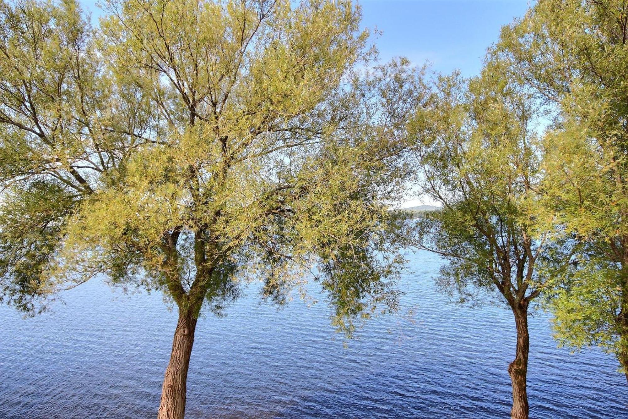 Location Tourisme Estrie - Oberge Du Village マゴグ エクステリア 写真